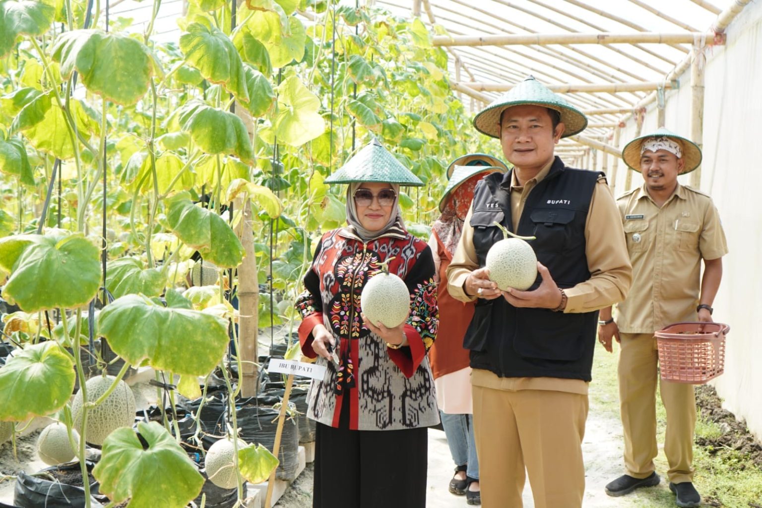 Dukung Ketahanan Pangan Lamongan, Bupati YES Panen Melon di Green House Kis Fruit Desa Medalem