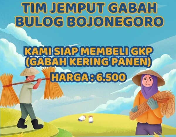 Bulog Bojonegoro Aktif Serap Gabah Petani, Tawarkan HPP Rp 6.500 Per Kilogram
