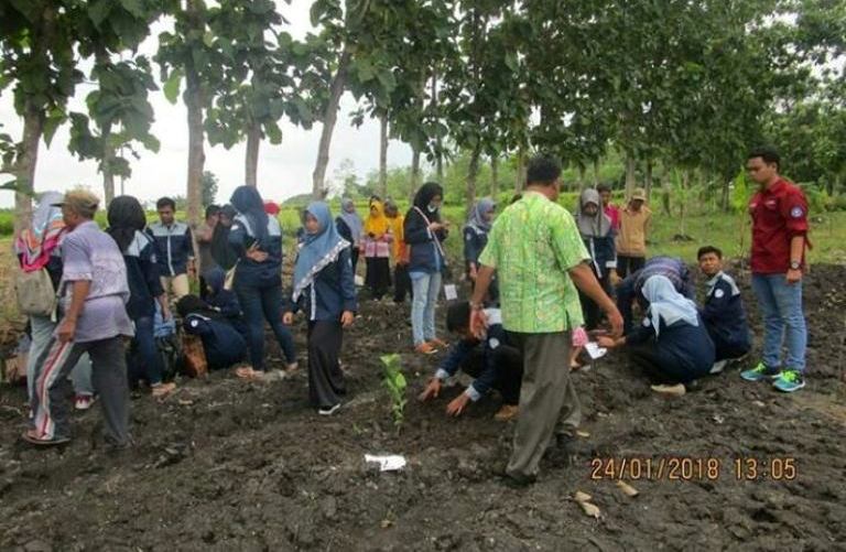 Inovasi Pertanian: Lewat Pelatihan Jambu Kristal, PAD IPB Gagas Penguatan Ekonomi Petani Wotanngare