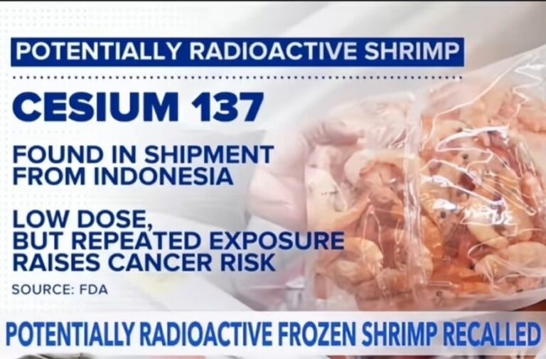 Kata Senator AS, Makan Udang Indonesia Berakhir Jadi Alien. Fakta: Ada Bahaya Cesium-137